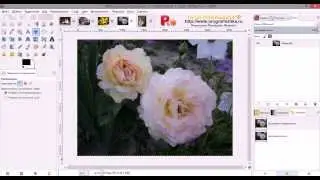 Как сделать картину маслом из фотографии в GIMP.