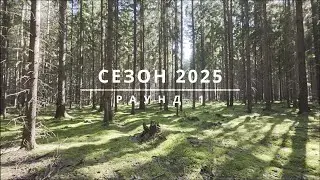 Грибной Сезон 2025: Раунд 1
