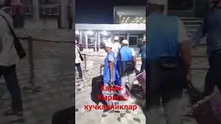 Умрага Кучкакликлар Тошкентдан жунашди🤲