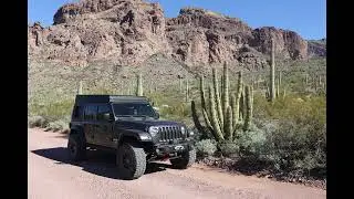 Exploring Organ Pipe Cactus National Monument