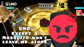 UNO Live except I fight a mosquito the whole time
