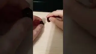 мелкий когда пересмотрел 