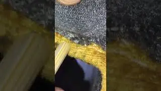 Koltuk Kenarındaki Tahtakurusu