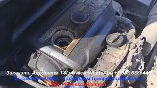 Шкода с масложором на Алгоритме исцеления от этого недуга.