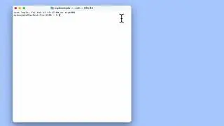 Useful macOS network terminal commands - How to find DHCP lease details.