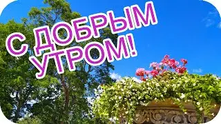 Доброе утро! 🌸Желаю вам хорошего денька!🌸 Пусть станет он светлее от тепла!🌸Музыкальная открытка🌸