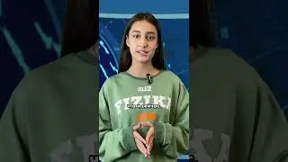 У Земли 2 Солнца?