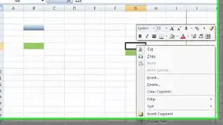 Excel 2007-10 MiniToolbar