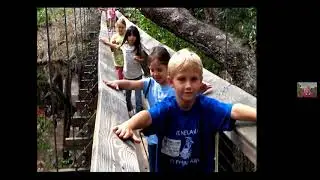 "Life in the Treetops    Exploration of Tropical Rain Forest Canopies" by Dr  Meg Lowman