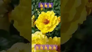 #shortc# каждый занят своим делом