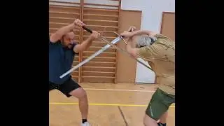 Just long swords training #shorts #action #skills