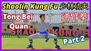 Tong Bei Quan (Part 2) - Shaolin Kung Fu Tutorial 🤜 #少林功夫 #少林通臂拳 #拳法 #功夫教學 示範 #通臂拳 下半部 教學 🤜