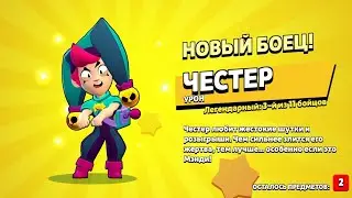Апаю Честера день 1