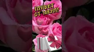 Доброе утро!