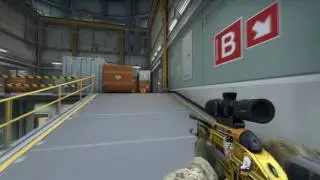 Neo insane Wallbang on Nuke ( Virtus pro vs Faze)