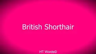 Pronunciation of British Shorthair