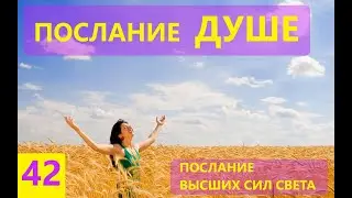 Послание Душе. Послание Высших Сил Света. Елена Морозова