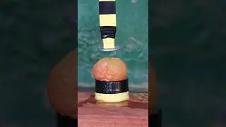 Mini Hydraulic Press #experiment #shorts