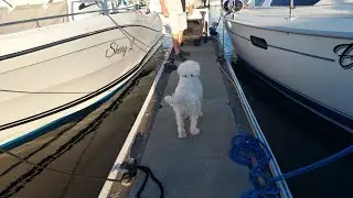 IS IT GONNA RAIN|  WEEKEND BOATCATION