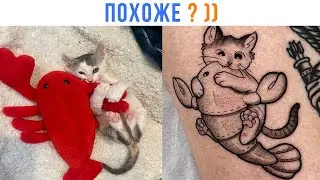 ОЦЕНИТЕ РАБОТУ ))) | Приколы с котами | Мемозг 1480