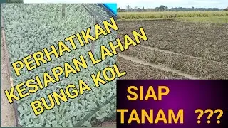 siapkah lahan pertanian anda untuk ditanami???