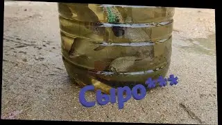 Сыро ***