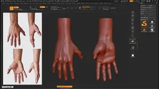Introduction to Zbrush 16 - Hand 03