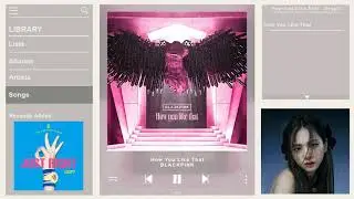 BLACKPINK - How You Like That (Short Version)