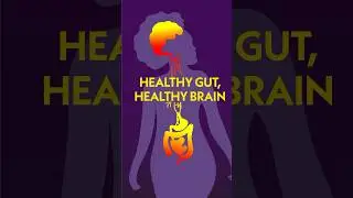 How Is Your Gut Connected To Your Brain?