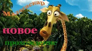 Мадагаскар прохождение игры №7 совершеннолетие ч 1
