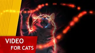 CAT GAMES  - Neon Multi Color String (Video for Cats) 1 Hour version
