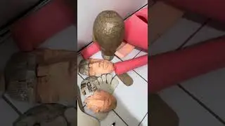 Os boneco do Forró
