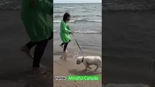 Lake Ontario, Port Hope, Canada