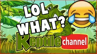 The Reptile Channel -  Response to their garbage video