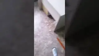 😨 #Shorts #TikTok #Мемы