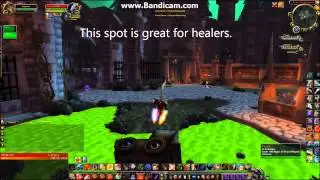 Wow arena bug 6.0.3
