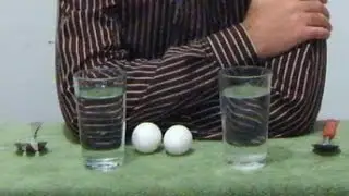Huevos que flotan y se hunden │ Experimento Fácil