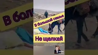 чабан остался без обеда