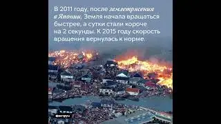Интересные и необычные факты о природе