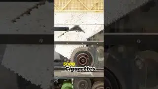 Behind The Scenes - Cigarette Making Process