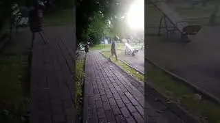 Дожили теперь защитниками Битцевского леса пугают детей которые ломают деревья .