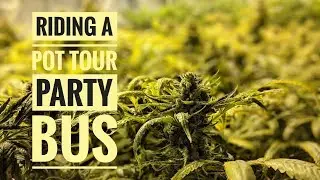 What Goes on the Colorado Cannabis Tour Denver | Caroline on Crack