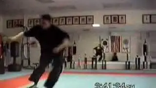 Real Capoeira