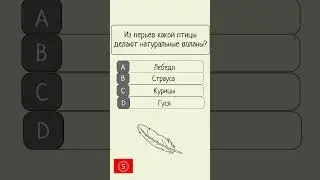 Тест на эрудицию #эрудиция #вопрос #развитие