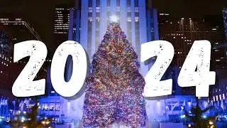 What Is The Biggest Christmas Trees Of 2024!