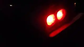 R31 Skyline Burnout