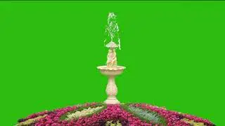 4k green video.