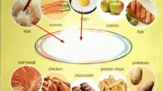 Science: Class 4th Food and Diet (Activity - Protein)