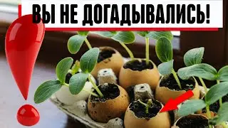 Лайфхаки для ОГОРОДА о которых не догадываются дачники