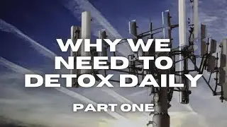 Why We Need to Detox Daily - Part One